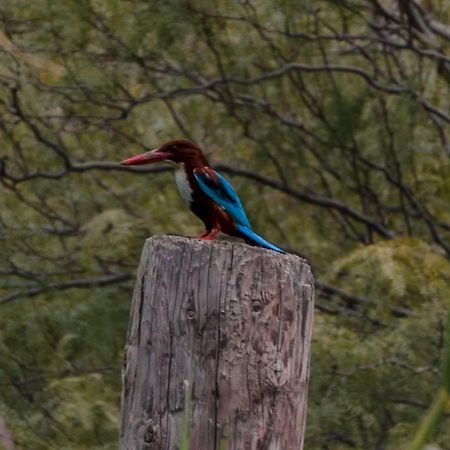 Отель Sharhabil Bin Hasnah Ecopark Qulay'at Экстерьер фото