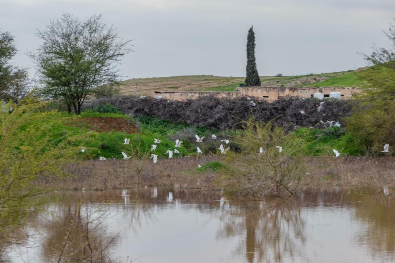 Отель Sharhabil Bin Hasnah Ecopark Qulay'at Экстерьер фото